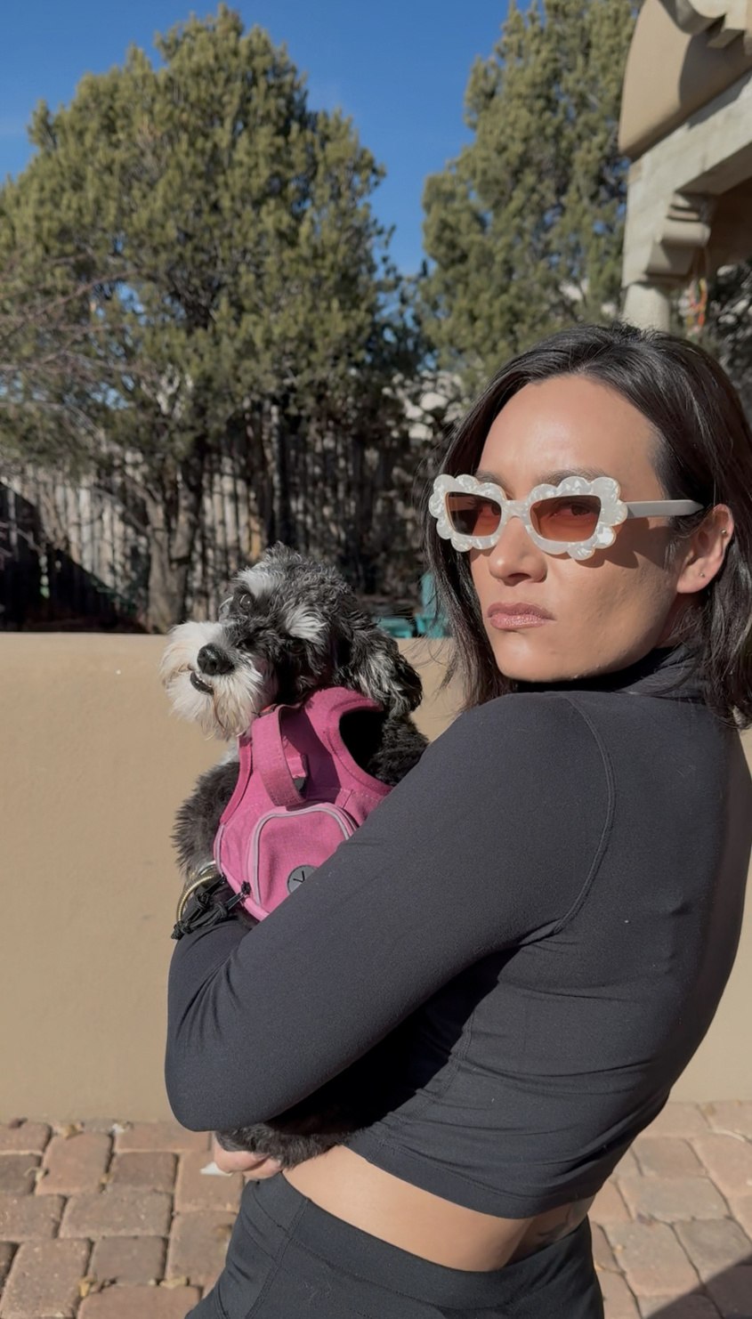 Mutt Maven with a happy schnauzer in Santa Fe